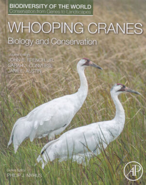 Whooping Cranes