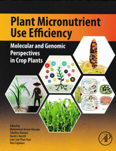 Plant Micronutrient Use Efficiency