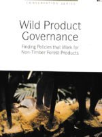 Wild Product Governance by Sarah