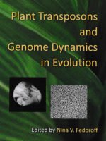 Plant Transposons and Genome Dynamics in Evolution