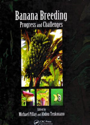 Banana Breeding Progress and Challenges