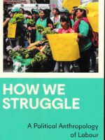 How We Struggle by Sian Lazar