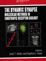 The Dynamic Synapse