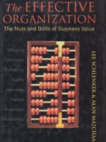 The Effective Organization