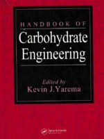 Handbook of Carbohydrate