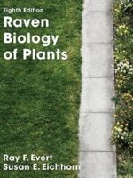 Raven Biology of Plants International by Peter Raven