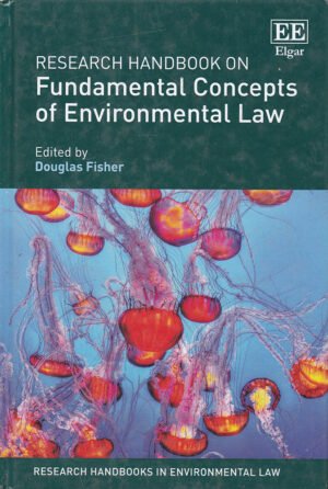 Research Handbook on Fundamental