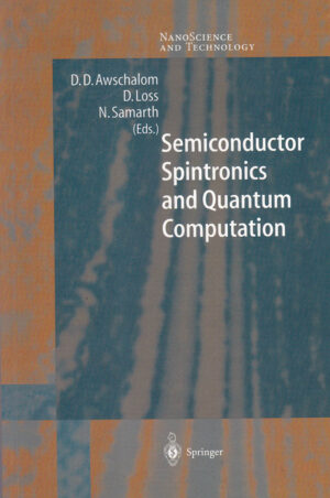 Semiconductor Spintronics and Quantum Computation