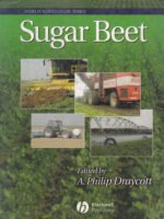 Sugar Beet