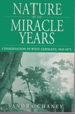 Nature of the Miracle Years