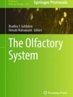 The Olfactory System by Goldstein