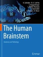 The Human Brainstem by Schröder