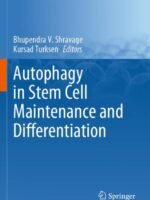 Autophagy in Stem Cell Maintenance and Differentiation by Shravage