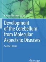 Development of the Cerebellum from Molecular Aspects to Diseases by Marzban