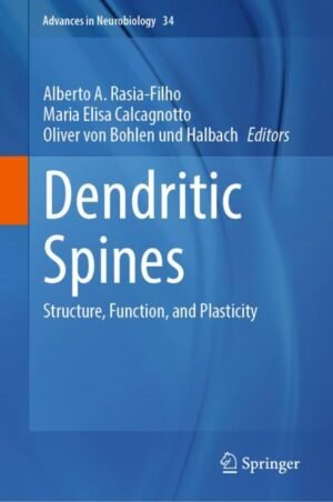 Dendritic Spines by Rasia-Filho