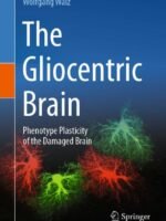 The Gliocentric Brain by Walz