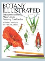 Botany Illustrated: Introduction to Plants