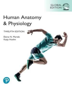 Human Anatomy & Physiology, Global Edition, 12th edition